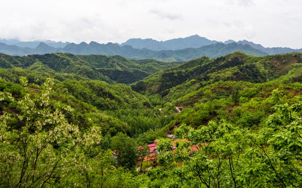 2 梯子峪全景图2 (北向南).jpg